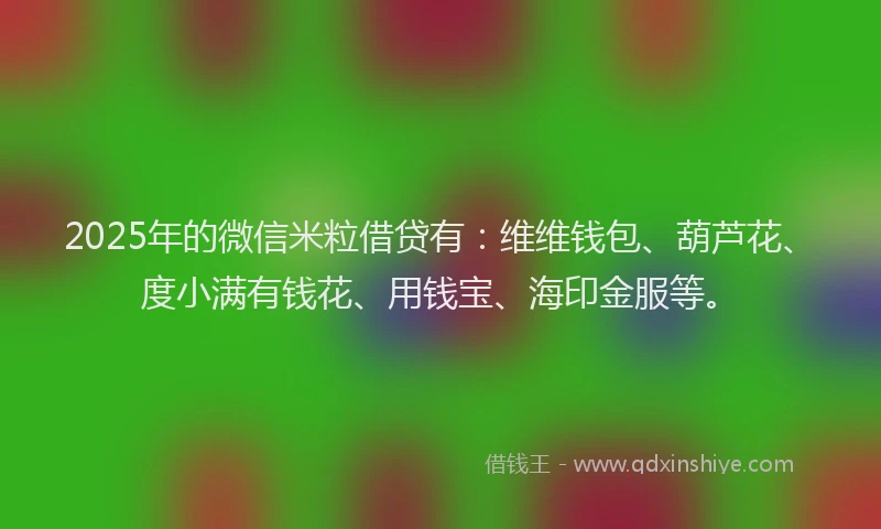 2025年的微信米粒借贷有：维维钱包、葫芦花、度小满有钱花、用钱宝、海印金服等。