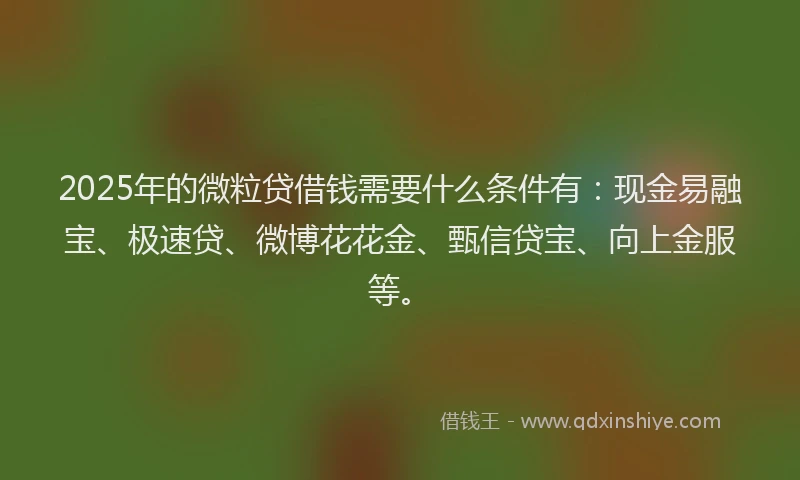 2025年的微粒贷借钱需要什么条件有：现金易融宝、极速贷、微博花花金、甄信贷宝、向上金服等。