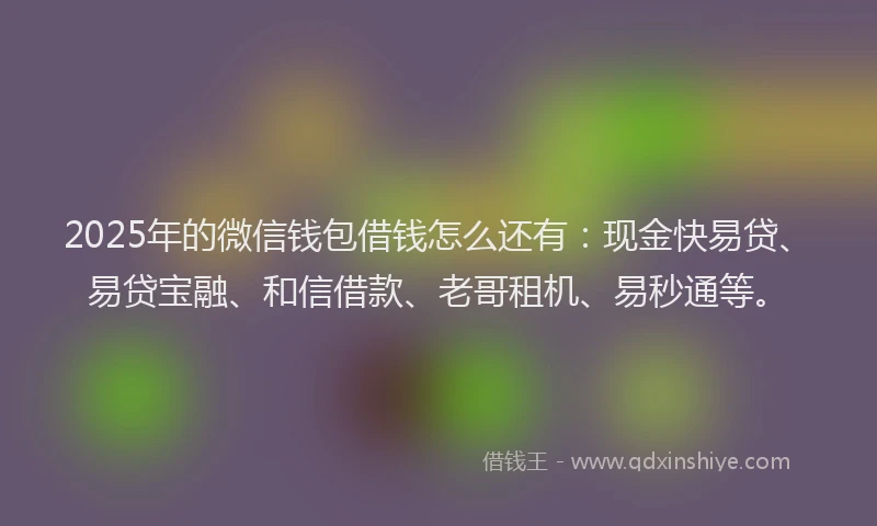 2025年的微信钱包借钱怎么还有：现金快易贷、易贷宝融、和信借款、老哥租机、易秒通等。