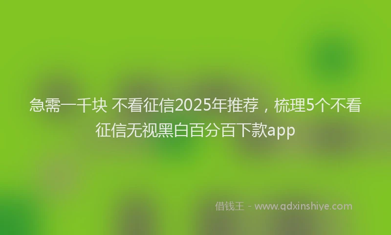 急需一千块 不看征信2025年推荐，梳理5个不看征信无视黑白百分百下款app