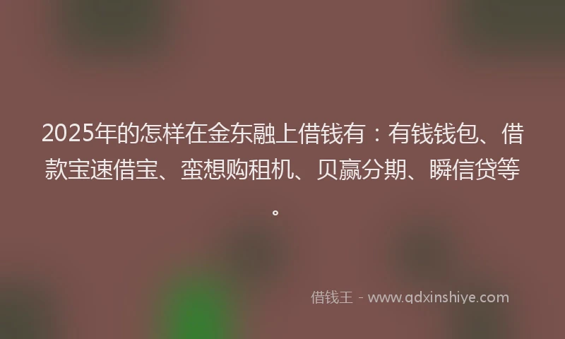 2025年的怎样在金东融上借钱有：有钱钱包、借款宝速借宝、蛮想购租机、贝赢分期、瞬信贷等。