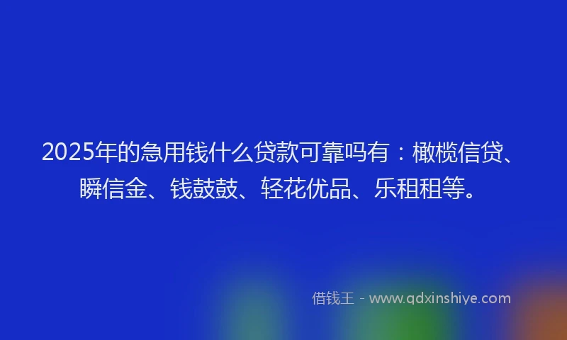 2025年的急用钱什么贷款可靠吗有：橄榄信贷、瞬信金、钱鼓鼓、轻花优品、乐租租等。