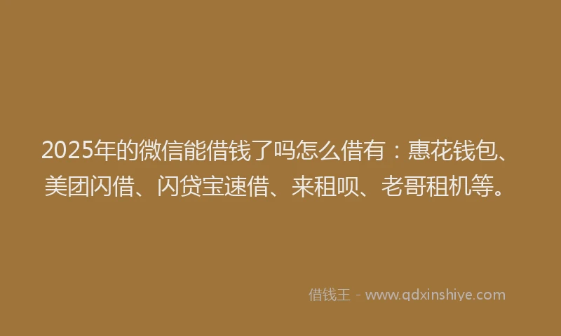 2025年的微信能借钱了吗怎么借有：惠花钱包、美团闪借、闪贷宝速借、来租呗、老哥租机等。