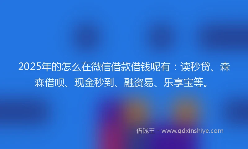 2025年的怎么在微信借款借钱呢有：读秒贷、森森借呗、现金秒到、融资易、乐享宝等。