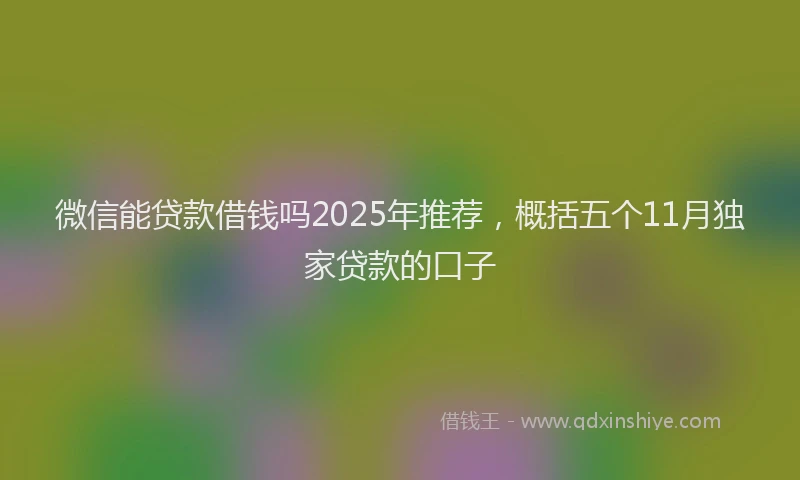 微信能贷款借钱吗2025年推荐，概括五个11月独家贷款的口子