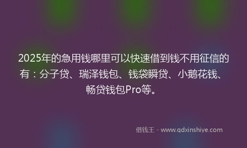 2025年的急用钱哪里可以快速借到钱不用征信的有：分子贷、瑞泽钱包、钱袋瞬贷、小鹅花钱、畅贷钱包Pro等。