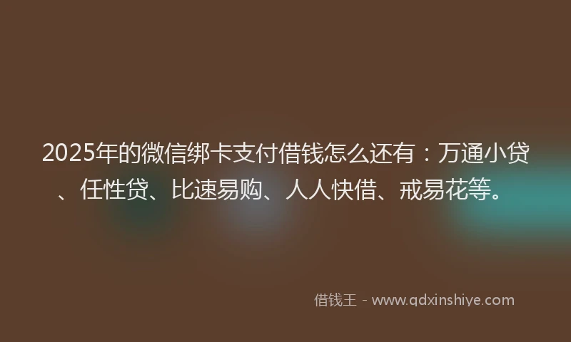 2025年的微信绑卡支付借钱怎么还有：万通小贷、任性贷、比速易购、人人快借、戒易花等。