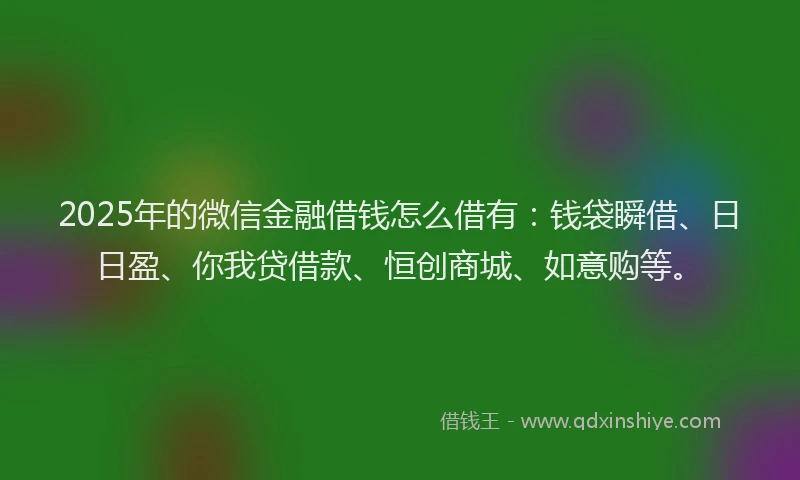 2025年的微信金融借钱怎么借有：钱袋瞬借、日日盈、你我贷借款、恒创商城、如意购等。