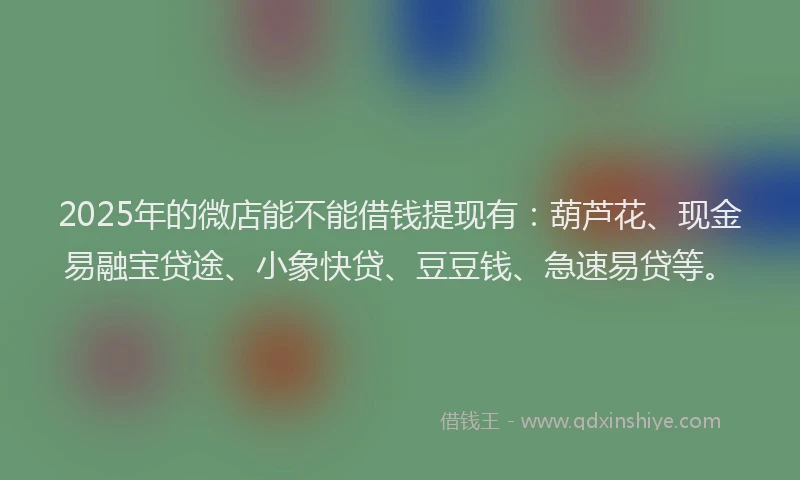 2025年的微店能不能借钱提现有：葫芦花、现金易融宝贷途、小象快贷、豆豆钱、急速易贷等。