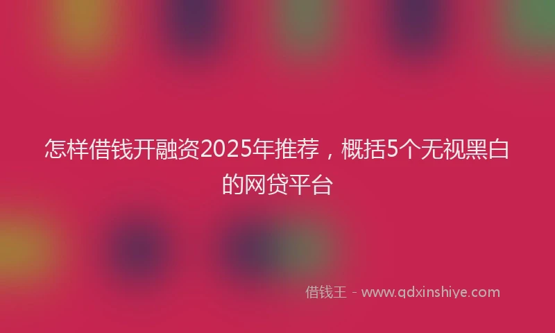 怎样借钱开融资2025年推荐，概括5个无视黑白的网贷平台