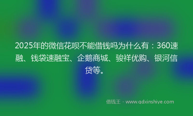 2025年的微信花呗不能借钱吗为什么有：360速融、钱袋速融宝、企鹅商城、骏祥优购、银河信贷等。