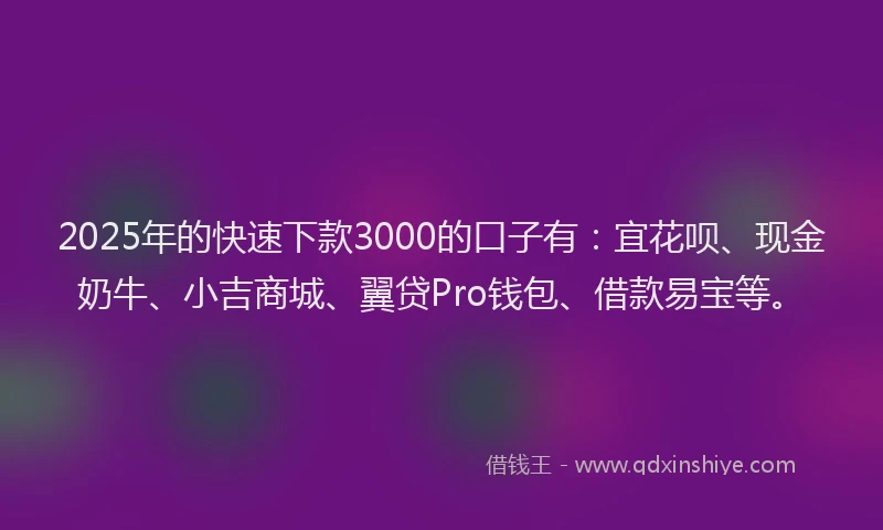 2025年的快速下款3000的口子有:宜花呗、现金奶牛、小吉商城、翼贷Pro钱包、借款易宝等。