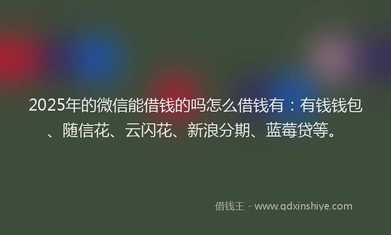 2025年的微信能借钱的吗怎么借钱有：有钱钱包、随信花、云闪花、新浪分期、蓝莓贷等。
