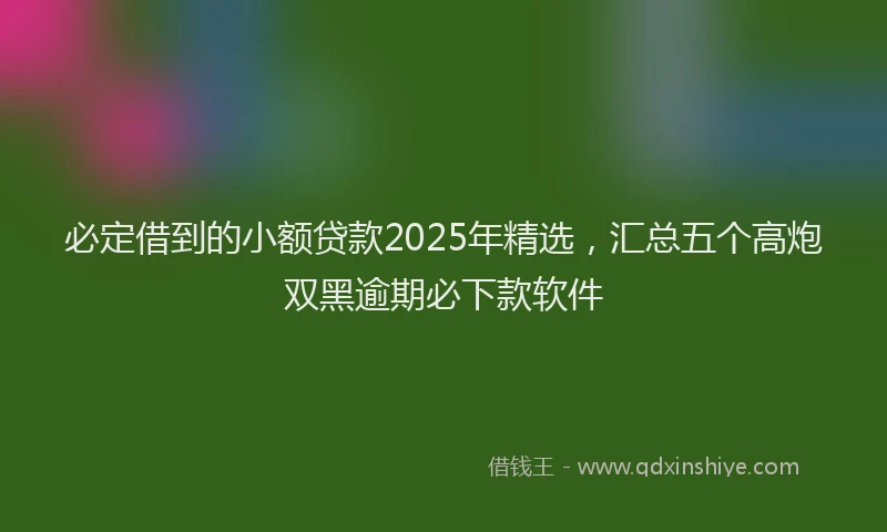 必定借到的小额贷款2025年精选，汇总五个高炮双黑逾期必下款软件
