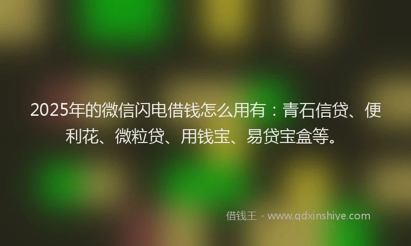 2025年的微信闪电借钱怎么用有：青石信贷、便利花、微粒贷、用钱宝、易贷宝盒等。