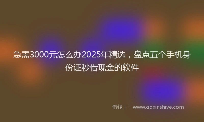 急需3000元怎么办2025年精选，盘点五个手机身份证秒借现金的软件