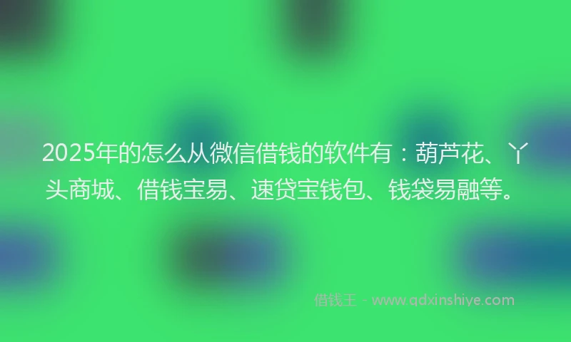 2025年的怎么从微信借钱的软件有：葫芦花、丫头商城、借钱宝易、速贷宝钱包、钱袋易融等。
