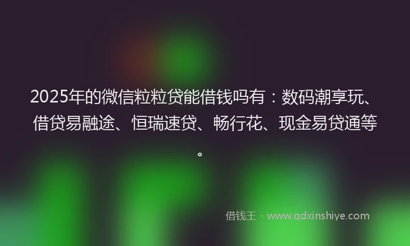 2025年的微信粒粒贷能借钱吗有：数码潮享玩、借贷易融途、恒瑞速贷、畅行花、现金易贷通等。