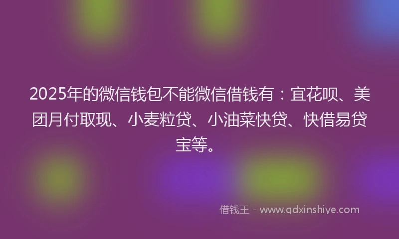 2025年的微信钱包不能微信借钱有：宜花呗、美团月付取现、小麦粒贷、小油菜快贷、快借易贷宝等。