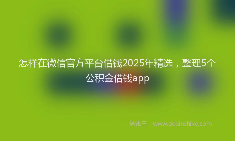 怎样在微信官方平台借钱2025年精选，整理5个公积金借钱app