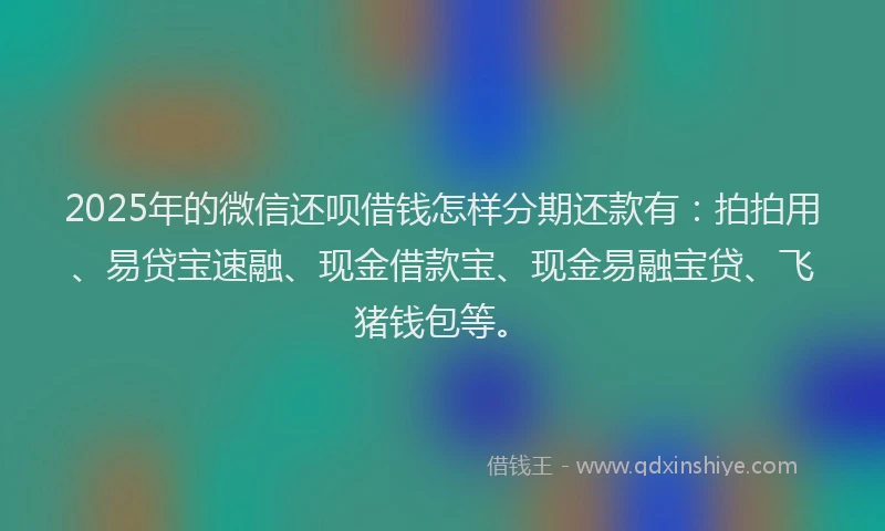 2025年的微信还呗借钱怎样分期还款有：拍拍用、易贷宝速融、现金借款宝、现金易融宝贷、飞猪钱包等。