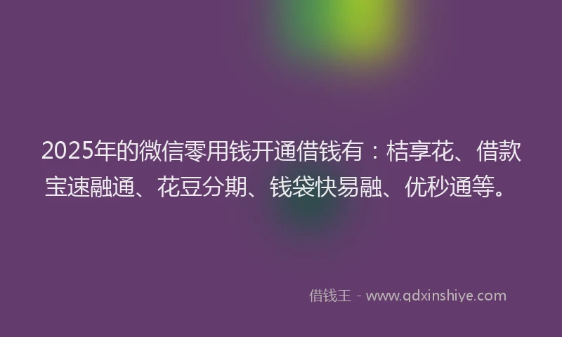 2025年的微信零用钱开通借钱有：桔享花、借款宝速融通、花豆分期、钱袋快易融、优秒通等。