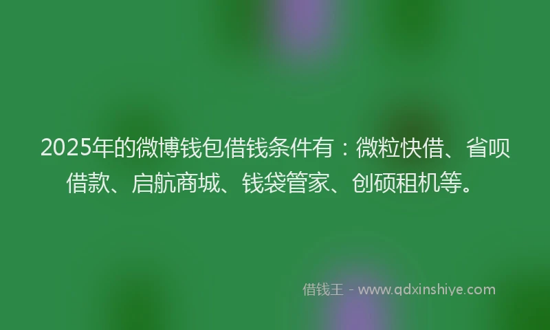 2025年的微博钱包借钱条件有：微粒快借、省呗借款、启航商城、钱袋管家、创硕租机等。
