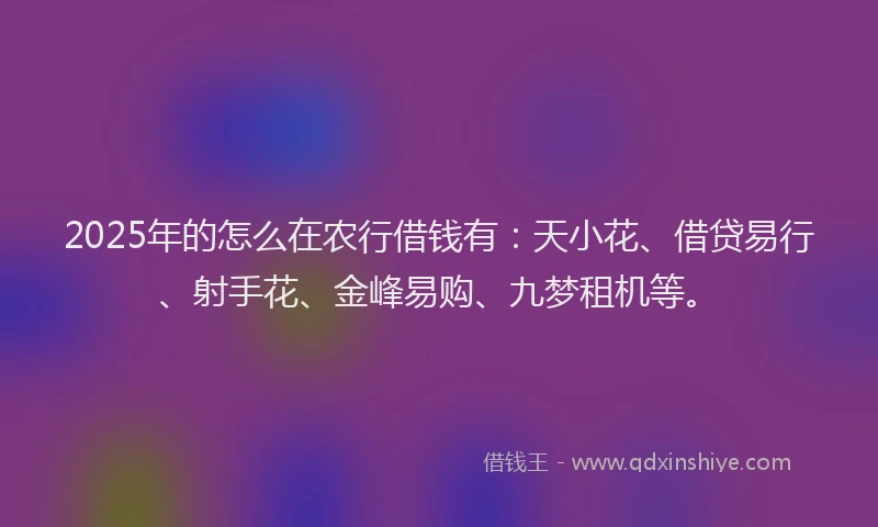 2025年的怎么在农行借钱有：天小花、借贷易行、射手花、金峰易购、九梦租机等。
