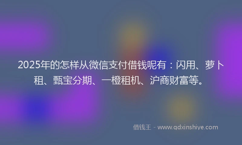 2025年的怎样从微信支付借钱呢有：闪用、萝卜租、甄宝分期、一橙租机、沪商财富等。