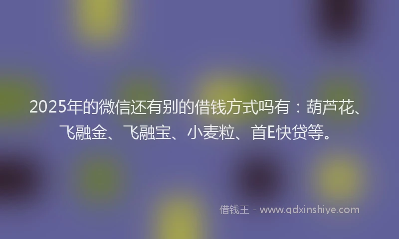 2025年的微信还有别的借钱方式吗有：葫芦花、飞融金、飞融宝、小麦粒、首E快贷等。