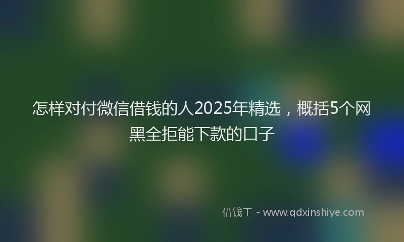 怎样对付微信借钱的人2025年精选，概括5个网黑全拒能下款的口子