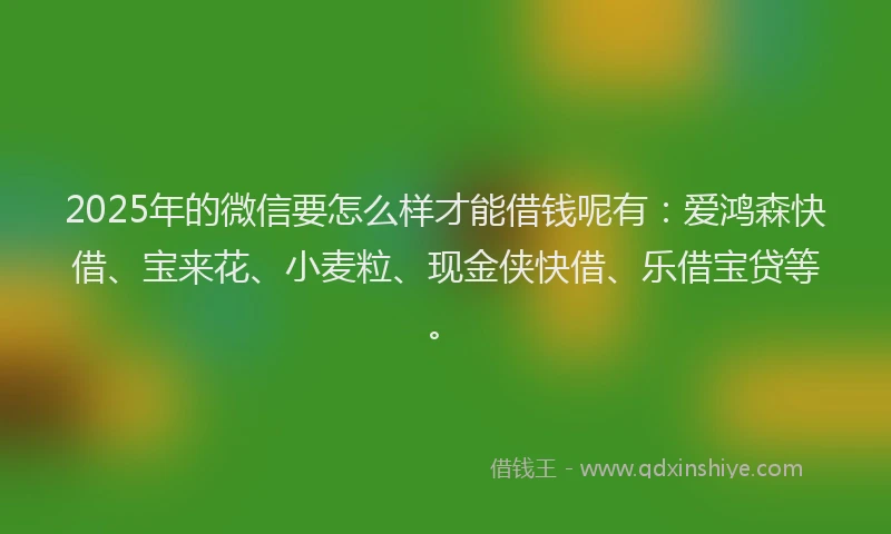 2025年的微信要怎么样才能借钱呢有：爱鸿森快借、宝来花、小麦粒、现金侠快借、乐借宝贷等。