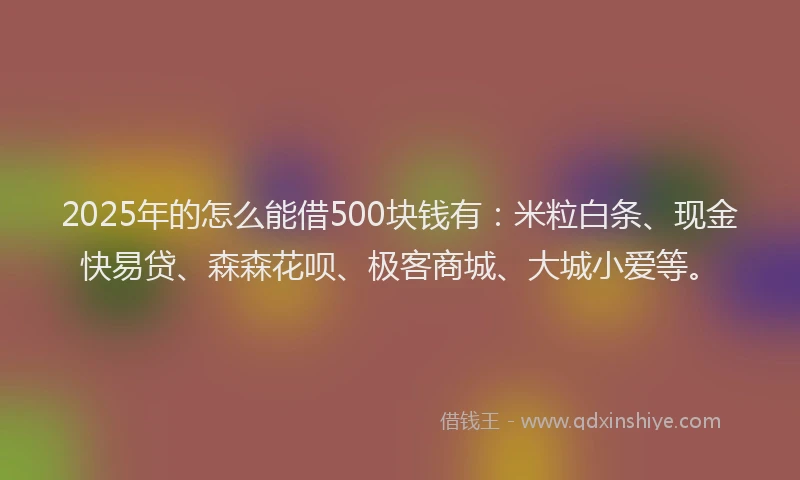 2025年的怎么能借500块钱有：米粒白条、现金快易贷、森森花呗、极客商城、大城小爱等。