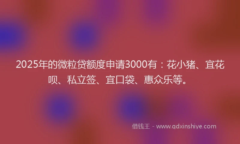 2025年的微粒贷额度申请3000有：花小猪、宜花呗、私立签、宜口袋、惠众乐等。