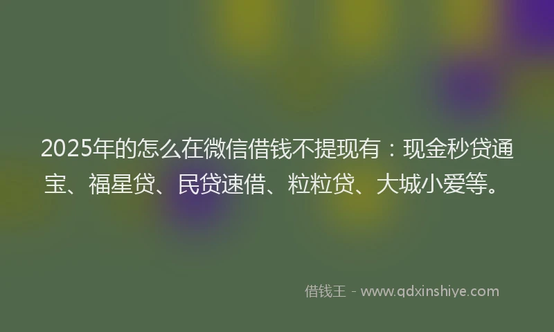 2025年的怎么在微信借钱不提现有：现金秒贷通宝、福星贷、民贷速借、粒粒贷、大城小爱等。