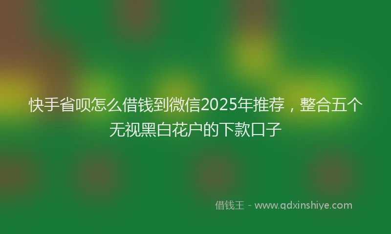 快手省呗怎么借钱到微信2025年推荐，整合五个无视黑白花户的下款口子