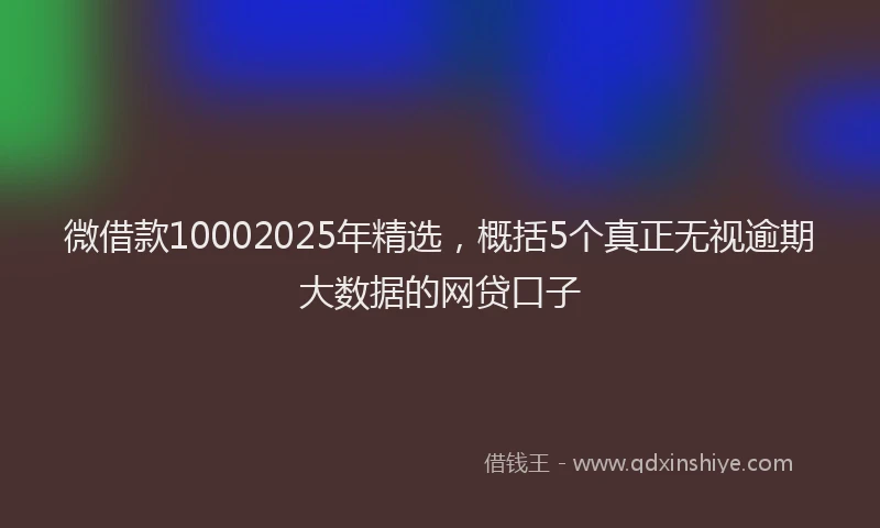 微借款10002025年精选，概括5个真正无视逾期大数据的网贷口子