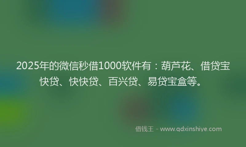 2025年的微信秒借1000软件有：葫芦花、借贷宝快贷、快快贷、百兴贷、易贷宝盒等。