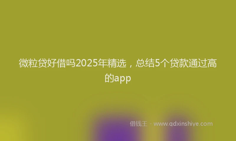 微粒贷好借吗2025年精选，总结5个贷款通过高的app