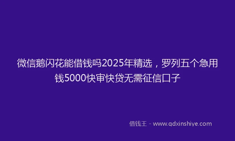 微信鹅闪花能借钱吗2025年精选，罗列五个急用钱5000快审快贷无需征信口子