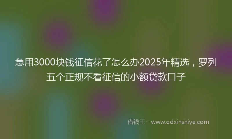 急用3000块钱征信花了怎么办2025年精选，罗列五个正规不看征信的小额贷款口子