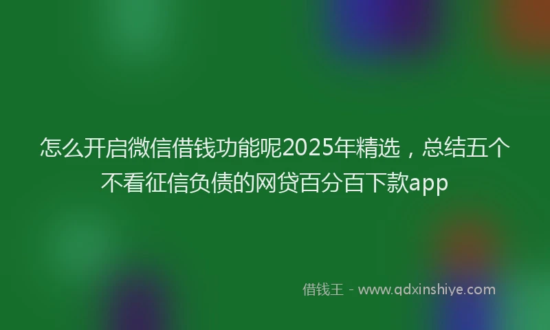 怎么开启微信借钱功能呢2025年精选，总结五个不看征信负债的网贷百分百下款app
