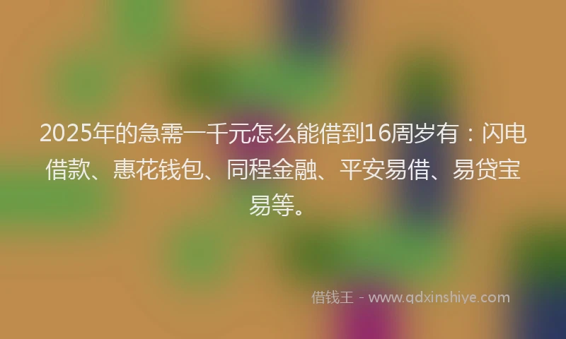 2025年的急需一千元怎么能借到16周岁有：闪电借款、惠花钱包、同程金融、平安易借、易贷宝易等。