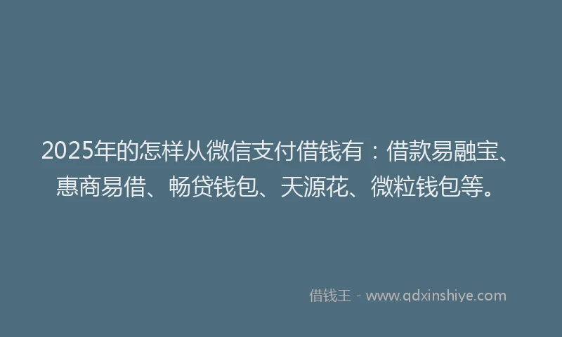2025年的怎样从微信支付借钱有：借款易融宝、惠商易借、畅贷钱包、天源花、微粒钱包等。