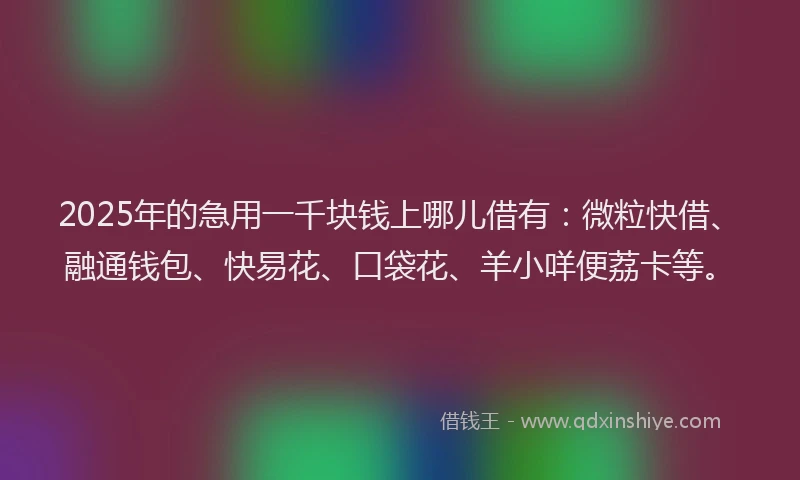 2025年的急用一千块钱上哪儿借有：微粒快借、融通钱包、快易花、口袋花、羊小咩便荔卡等。
