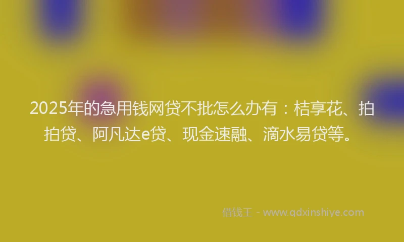2025年的急用钱网贷不批怎么办有：桔享花、拍拍贷、阿凡达e贷、现金速融、滴水易贷等。