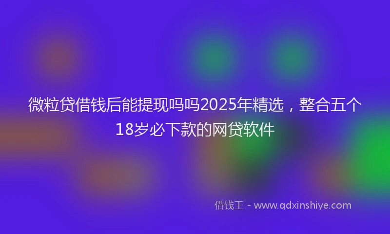 微粒贷借钱后能提现吗吗2025年精选，整合五个18岁必下款的网贷软件