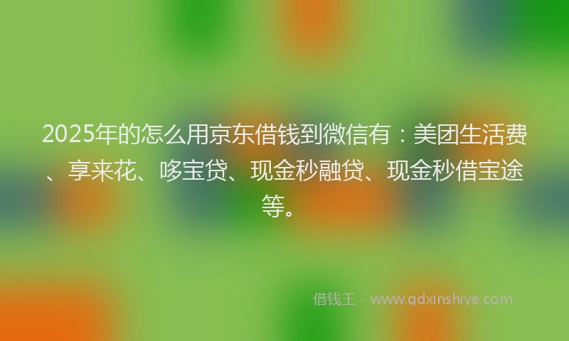 2025年的怎么用京东借钱到微信有：美团生活费、享来花、哆宝贷、现金秒融贷、现金秒借宝途等。