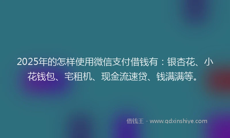 2025年的怎样使用微信支付借钱有：银杏花、小花钱包、宅租机、现金流速贷、钱满满等。