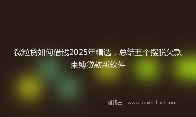 微粒贷如何借钱2025年精选，总结五个摆脱欠款束缚贷款新软件